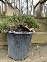 656E0757-B32B-42D5-91F8-CF8356395AF3.jpeg