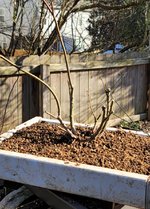 SmartSelect_20230221_121427_Gallery.jpg