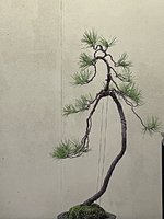 83027454-104F-4D61-B93C-3A75967F5703.jpeg