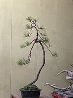 3870A278-A4FD-4F17-9A05-54D757D88AE5.jpeg