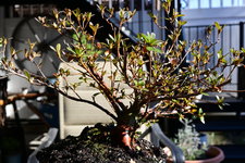 DSC_8616.JPG