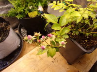 100_1629.JPG