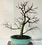 IMG_5227.jpeg