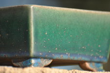 DSC_0043.JPG