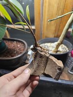 20230318_194149.jpg