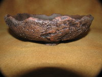 IMG_7379.JPG