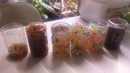 IMG_20230321_182336_738.jpg