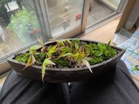 IMG_0125.jpeg