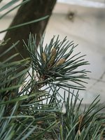 AD0C158F-08E8-4113-81CA-CFCC61E1BC62.jpeg