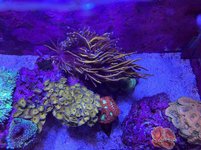 01D0868F-42F1-448B-916F-4ABC76ABD400.jpeg