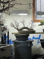 IMG_7886.jpeg