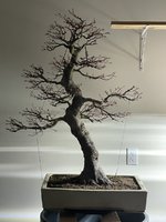 IMG_7892.jpeg