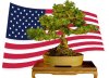 american_flag_370_114.jpg