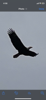 42720DF3-3DC2-4C5E-B286-C16B657E2BFB.png