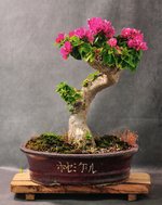 JMK_1635 (1).jpg