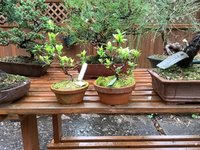 IMG_1399.jpeg