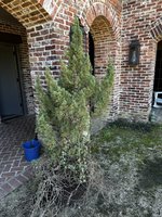 0E05C544-56E8-44D5-9607-11C066678ED7.jpeg
