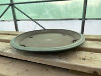 IMG_8339.jpeg