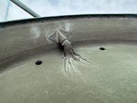 IMG_8340.jpeg
