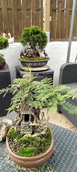 IMG20230413190447.jpg