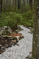 0AF57779-CB1B-43E7-8002-C335D7316149.jpeg