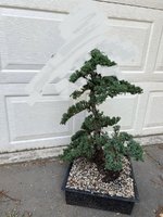 IMG_0839.jpeg