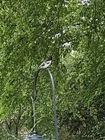 IMG_20230429_165136911.jpg