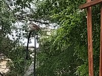 IMG_20230429_183821398.jpg