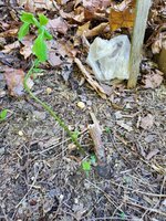 20230506_180453.jpg 20230506_180453.jpg