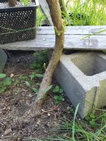 20230506_180516.jpg 20230506_180516.jpg