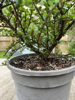 IMG_0811.jpeg