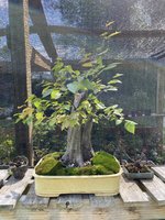 IMG_0900.jpeg