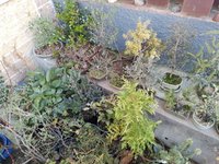 20230513_150552 - Copy.jpg