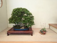 PXL_20230512_211828477.jpg