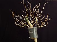 20230513_220045.jpg