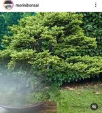 2020-06-346136144_3551892691802570_2342562492473507756_n (1).jpg