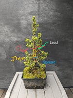 PXL_20230423_164630410~3.jpg PXL_20230423_164630410~3.jpg