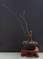 PXL_20230215_164106336~2.jpg
