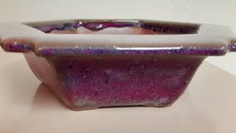 purple pot new.jpg