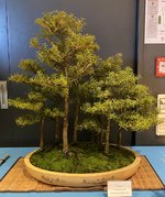 IMG_0798.jpeg