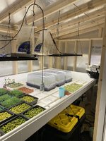 823A9B46-1E8D-4DA8-BCEC-9F29820175C3.jpeg