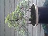 20140720_144353.jpg