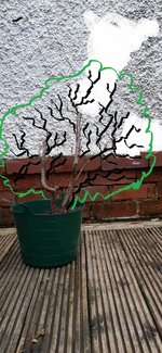 20230127_154627.jpg