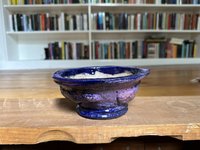 IMG_6154.jpeg
