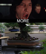 more.jpg