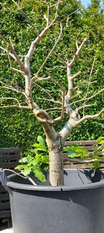 20230610_151601.jpg 20230610_151601.jpg