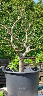 20230610_151547.jpg 20230610_151547.jpg