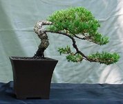 jun7-11#3.jpg