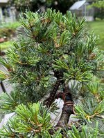 IMG_9022.jpeg