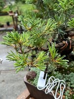 IMG_9023.jpeg